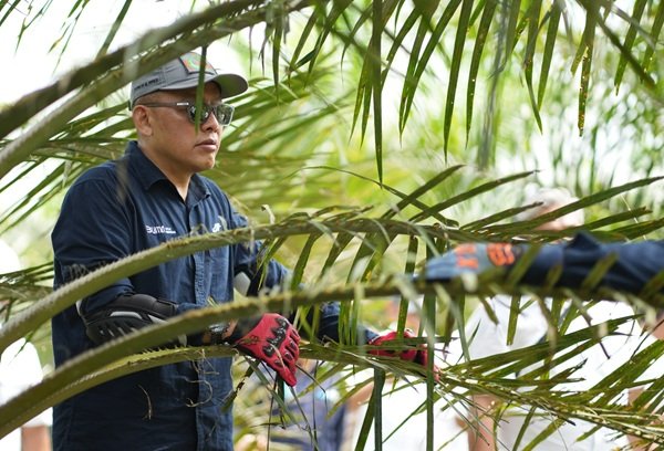 Hadapi Ancaman Kemarau, PTPN IV PalmCo Perkuat Deteksi Dini Karhutla dan Strategi Agronomi