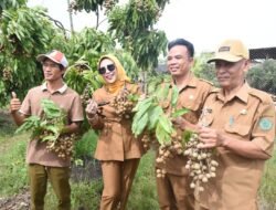 Wabup Sidoarjo Apresiasi Wisata Petik Klengkeng, Dinilai Dongkrak Ekonomi Warga