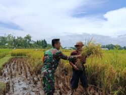 Di Balik Terik Desa Pojok di Tulungagung, Ada Babinsa yang Tak Pernah Lelah