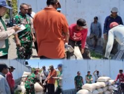 Babinsa dan Petani Bersinergi, Panen Padi di Beji Makin Berkualitas