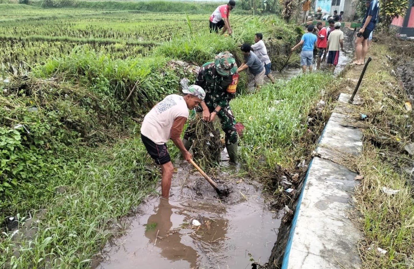 Ketika Harapan Ikut Tumbuh di Antara Air dan Lumpur yang Kembali Mengalir