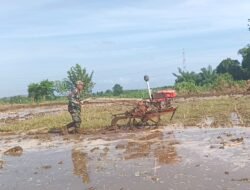 Mendampingi Pengolahan Lahan Pertanian, Koramil Banyuanyar Suksekan Gerakkan Antisipasi Darurat Pangan Nasional