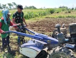 Dampingi Pengolahan Lahan Pertanian, Bentuk Komitmen Koramil Banyuanyar Sukseskan Swasembada Pangan