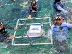 IPC TPK Gandeng Mitra Pelayaran Dorong Pelestarian Terumbu Karang di Pahawang