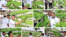 Lapas Narkotika Tanjungpinang Panen Selada Hidroponik Dukung Ketahanan Pangan