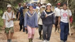 BPDP: PTPN IV PalmCo Jadi Perusahaan Teraktif dalam Program PSR Nasional