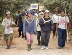 BPDP: PTPN IV PalmCo Jadi Perusahaan Teraktif dalam Program PSR Nasional