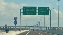 Penjelasan BKSDA soal Fenomena Kawanan Lebah di Tol Bali Mandara