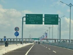 Viral Kawanan Lebah di Tol Bali Mandara, BKSDA Beri Penjelasan Ilmiah