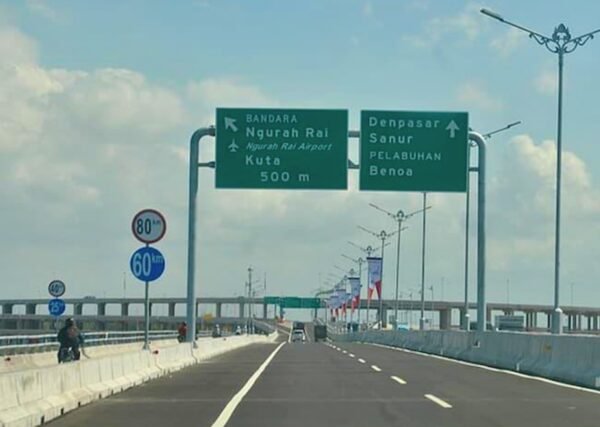 Penjelasan BKSDA soal Fenomena Kawanan Lebah di Tol Bali Mandara