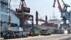 PTP Nonpetikemas Banten Perkuat Terminalisasi Pelabuhan