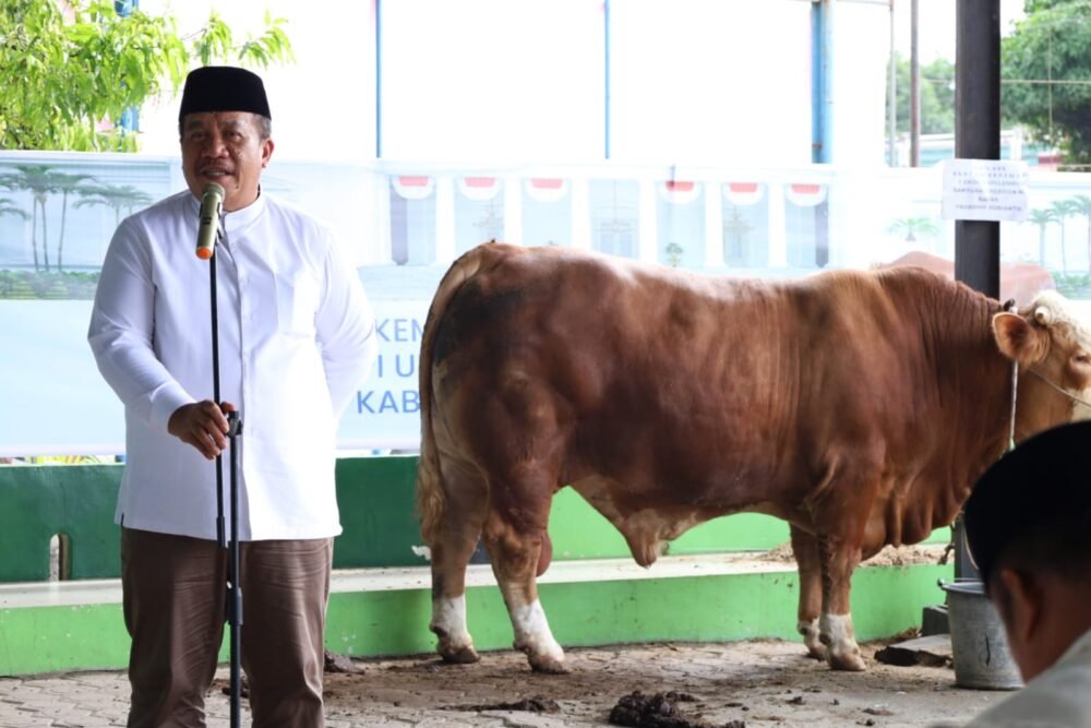 Pemkab Asahan Salurkan 101 Hewan Qurban