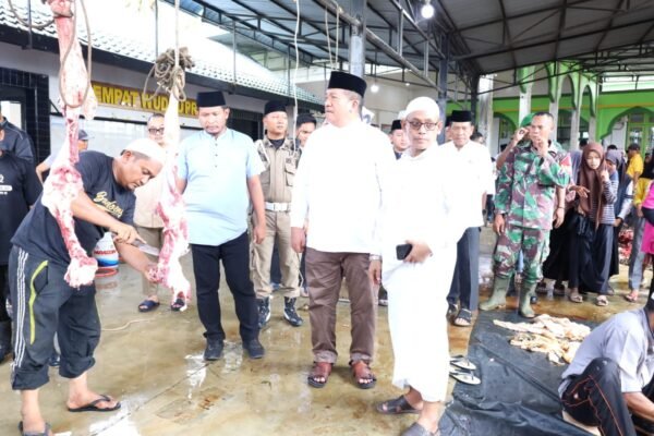 Bupati Asahan Saksikan Penyembelihan Sapi Bantuan Presiden