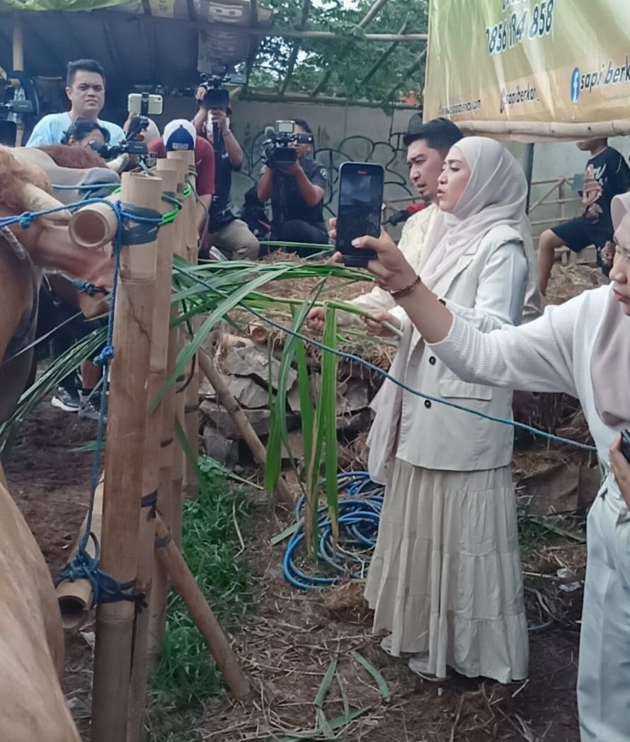 Pendakwah kondang Ustadz Solmed kembali membeli hewan kurban di Pusat Sapi Berkah, Kota Bekasi. Tahun ini, ia memborong empat ekor sapi jenis Limosin dan Metal dengan bobot hingga 850 kilogram karena puas dengan kualitas dan kesehatan hewan yang ditawarkan. (Ist/sp).