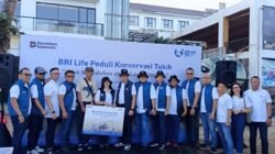 BRI Life Lepas 100 Tukik di Pantai Kuta, Dukung Pelestarian Penyu di Bali