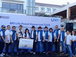 BRI Life Lepas 100 Tukik di Pantai Kuta, Dukung Pelestarian Penyu di Bali