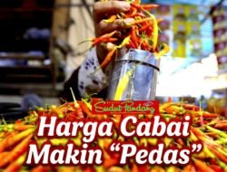 Cabai hingga Minyak Goreng Naik saat Lebaran Haji, Harga Cabai di Jakarta Tembus Rp 80.000 per Kg