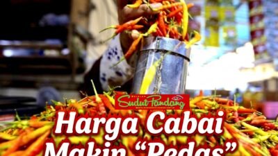 Cabai hingga Minyak Goreng Naik saat Lebaran Haji, Harga Cabai di Jakarta Tembus Rp 80.000 per Kg