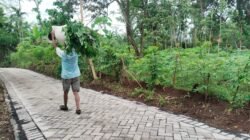 Sinergi Babinsa dan Warga Buka Akses Jalan yang Tertutup Longsor di Desa Palangsari