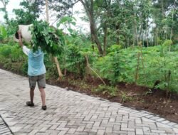 Aktivitas Warga Brabe Lancar Setelah Jalan Paving TMMD Ke-128 Rampung