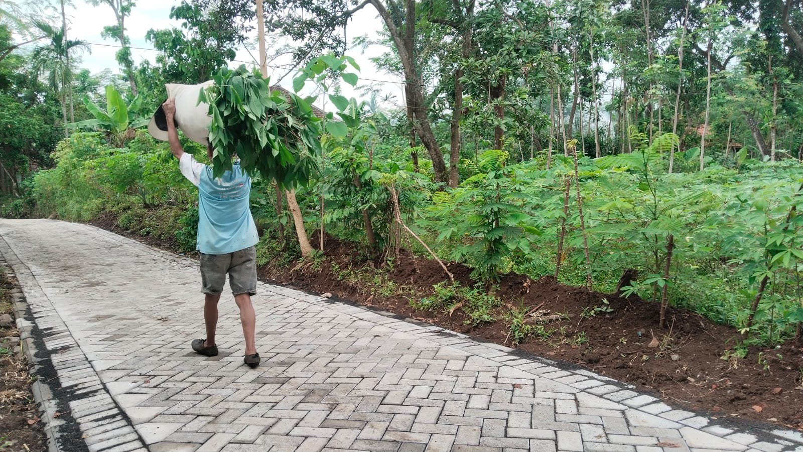 Sinergi Babinsa dan Warga Buka Akses Jalan yang Tertutup Longsor di Desa Palangsari