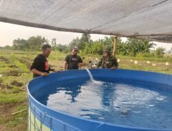 TMMD Ke-128 Kodim 0820/Probolinggo Gelar Pembuatan Sumur Bor untuk Budidaya Ikan di Desa Sidopekso