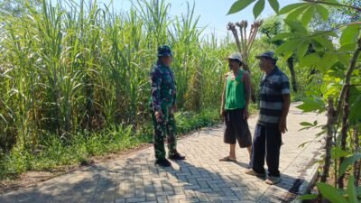Pembangunan paving dalam Program TMMD Ke-128 Kodim 0820/Probolinggo di Dusun Klagin, Desa Brabe, terus menunjukkan progres positif. (Foto: ist).