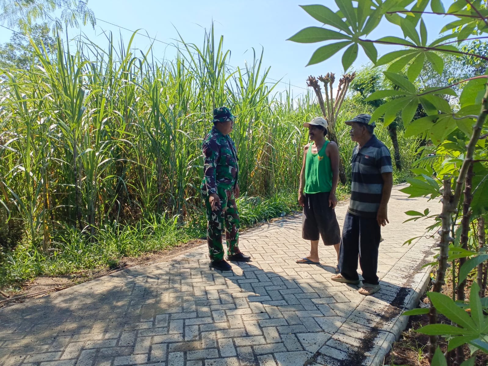 Pembangunan paving dalam Program TMMD Ke-128 Kodim 0820/Probolinggo di Dusun Klagin, Desa Brabe, terus menunjukkan progres positif. (Foto: ist).