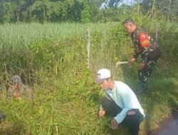 Koramil Leces Kerja bakti bersihkan jalan desa dan irigasi
