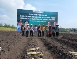 Kodim 0820 Probolinggo Dukung Progam Bongkar Ratoon Dan Perluasan Areal Tebu
