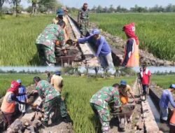 Babinsa dan Warga Slambrit Gotong Royong Bangun Saluran Irigasi Demi Kelancaran Pertanian
