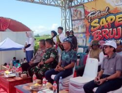Lestarikan Budaya, Koramil Wonoasih Kawal dan Amankan Festival Kerapan Sapeh Brujul