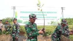 Penguatan Pembinaan Teritorial, Dandim Pimpin Penanaman Mangrove Serentak di Wilayah Pesisir