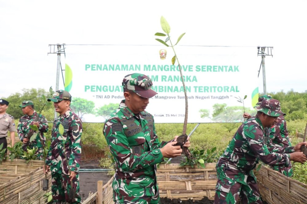 Penguatan Pembinaan Teritorial, Dandim Pimpin Penanaman Mangrove Serentak di Wilayah Pesisir
