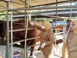 Langkah Preventif, Pemkab Tangerang Pantau Hewan Kurban Jelang Iduladha 2026 di Lokasi Peternakan