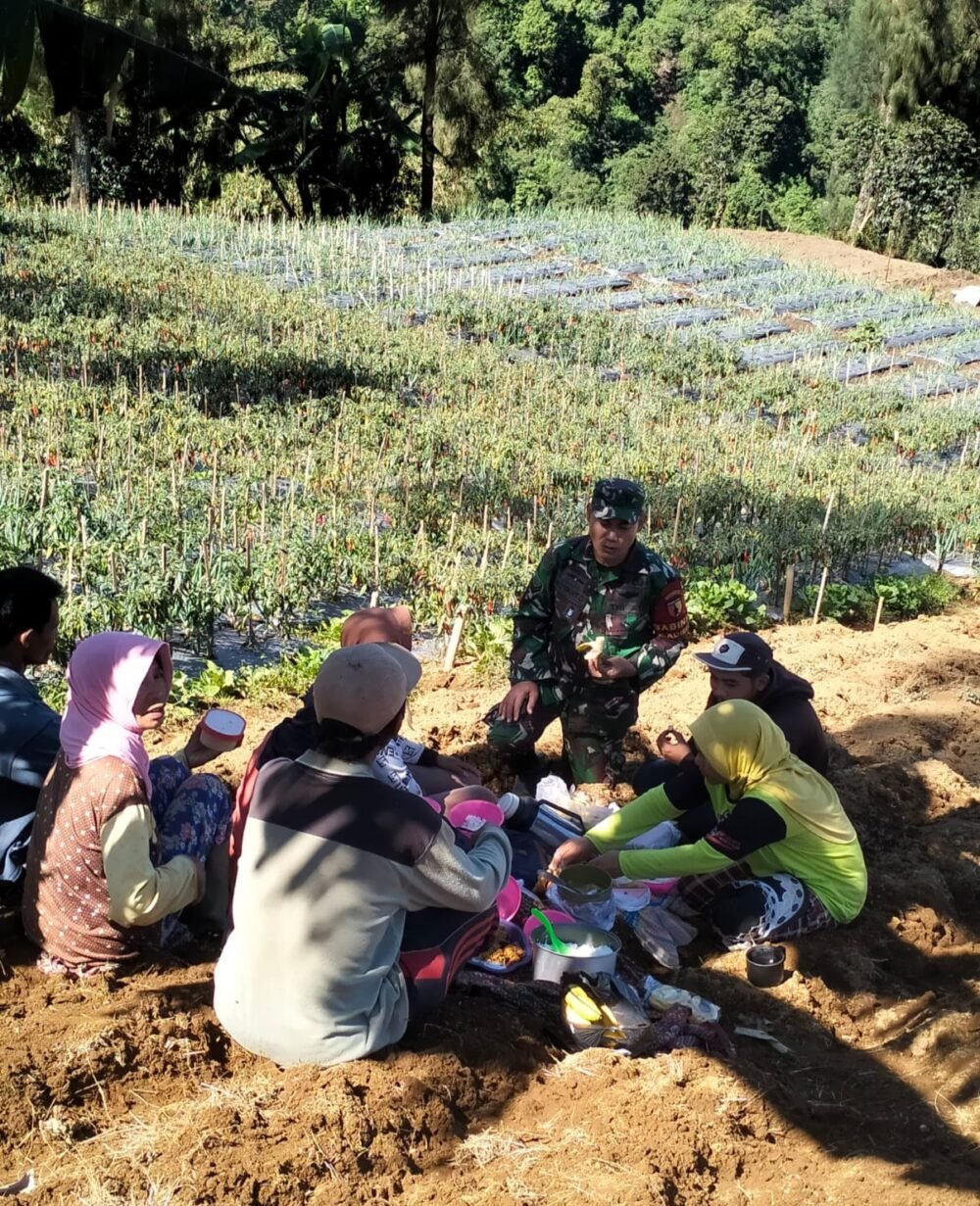 Tingkatkan Kesejahteraan Petani, Babinsa Giatkan Diversifikasi Tanaman Sayur