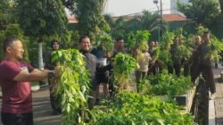 Dukung Ketahanan Pangan Danrem Panen Raya Bersama Prajurit
