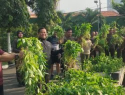 Dukung Ketahanan Pangan Danrem Panen Raya Bersama Prajurit
