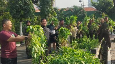 Dukung Ketahanan Pangan Danrem Panen Raya Bersama Prajurit