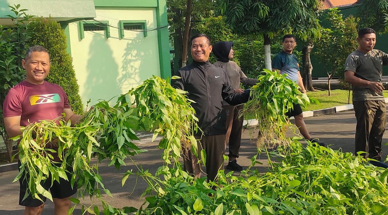 Dukung Ketahanan Pangan Danrem Panen Raya Bersama Prajurit
