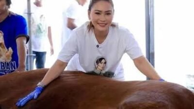 Inul Daratista Siapkan 10 Sapi Kurban di Idul Adha 2026
