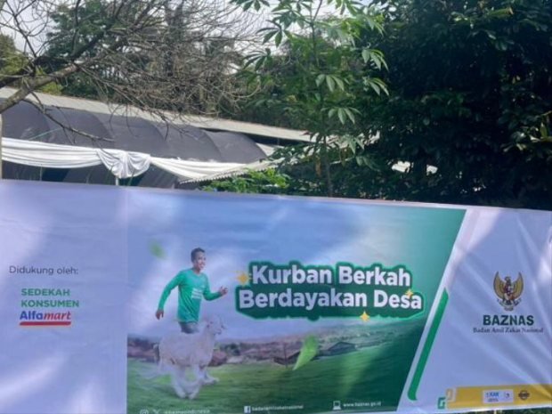 BAZNAS Salurkan Sedekah Pelanggan Alfamart untuk Program Kurban Idul Adha