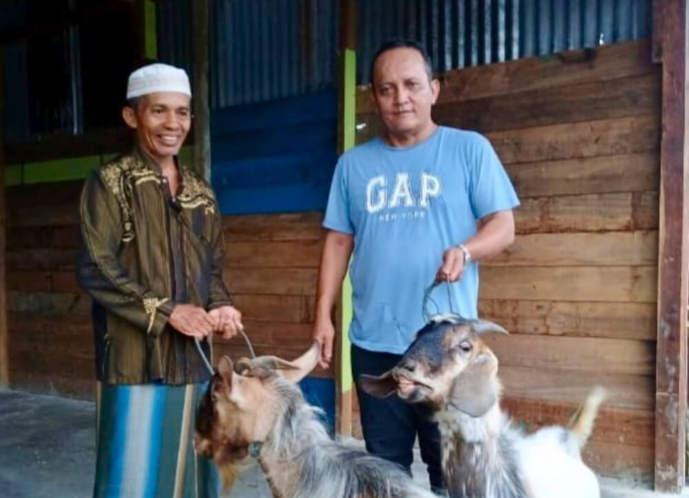 Idul Adha 2026, PT Kristalin Ekalestari Salurkan 41 Hewan Kurban di Papua dan Indonesia Timur