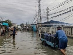 Potensi Banjir Rob Awal Mei, BPBD DKI Jakarta Minta Warga Pesisir Waspada