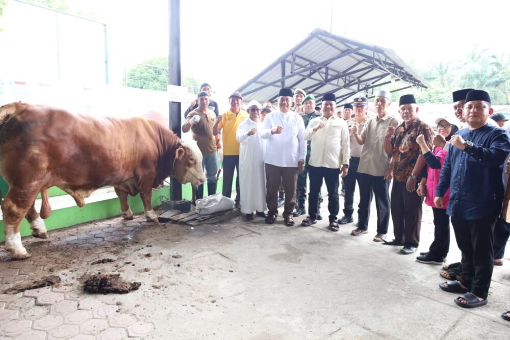 Bupati Asahan Saksikan Penyembelihan Sapi Bantuan Presiden