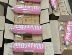Polisi Siap Jemput Paksa Selebgram dan YouTuber Terkait Kasus Whip Pink