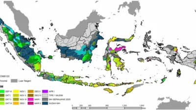 Prakiraan BMKG: Cuaca Kota-Kota Besar, Ahad Diwarnai Kondisi Hujan dan Berawan