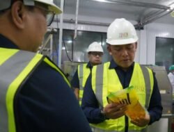 Distribusi Minyak Goreng ke Indonesia Timur Dipercepat, PalmCo Operasikan Fasilitas Pengemasan di Surabaya