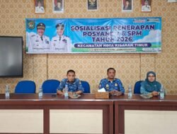 Camat Kisaran Timur Sosialisasikan Posyandu 6 SPM