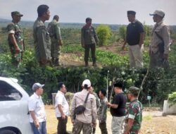 Langkah Awal Koperasi Merah Putih, Koramil dan Perhutani Survei Lahan di Sanganom